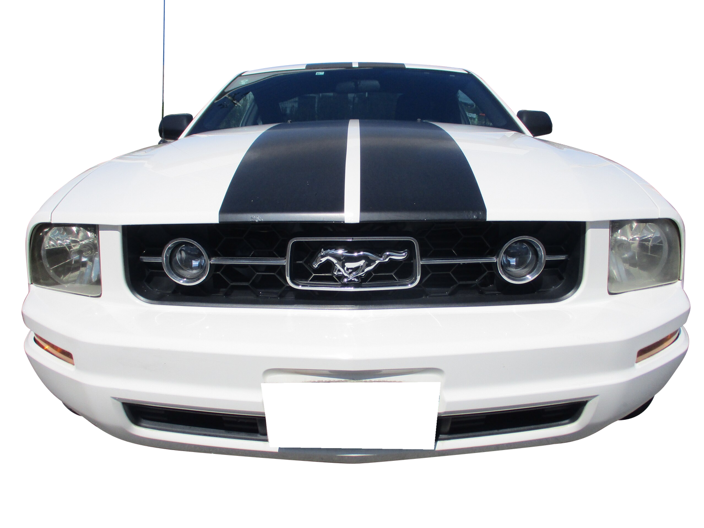 FORD MUSTANG V6