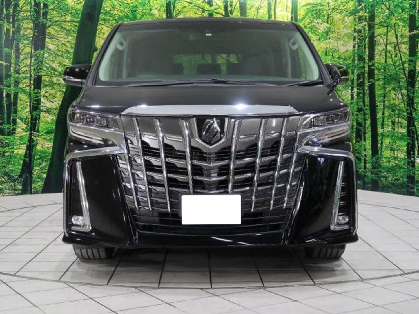TOYOTA ALPHARD SC Package