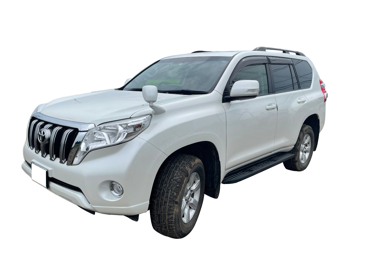 TOYOTA LAND CRUISER PRADO 【year:2006】